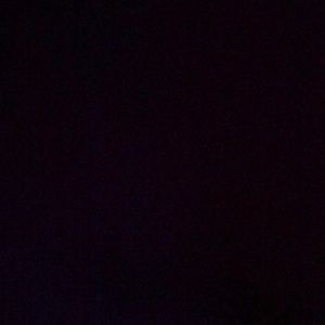 Meet your Posher, Donovan